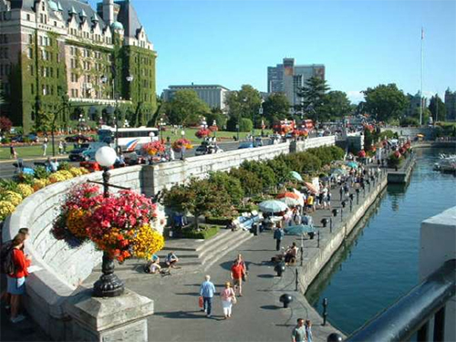 ビクトリア留学